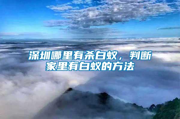 深圳哪里有殺白蟻，判斷家里有白蟻的方法