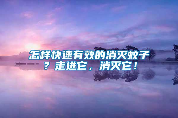 怎樣快速有效的消滅蚊子？走進(jìn)它，消滅它！
