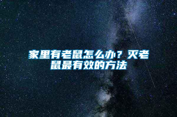 家里有老鼠怎么辦？滅老鼠最有效的方法