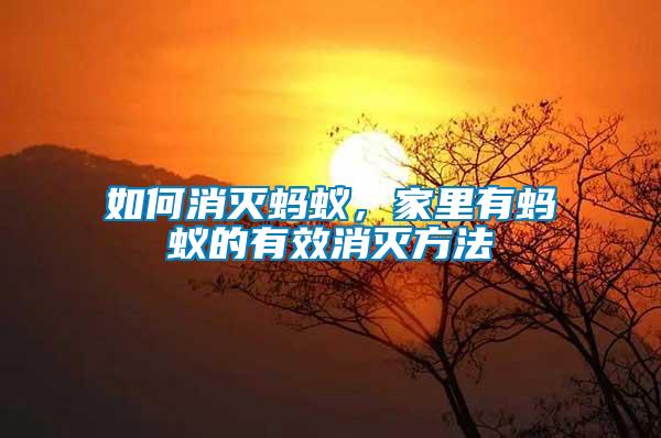 如何消滅螞蟻，家里有螞蟻的有效消滅方法