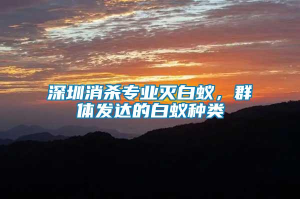 深圳消殺專業(yè)滅白蟻，群體發(fā)達(dá)的白蟻種類