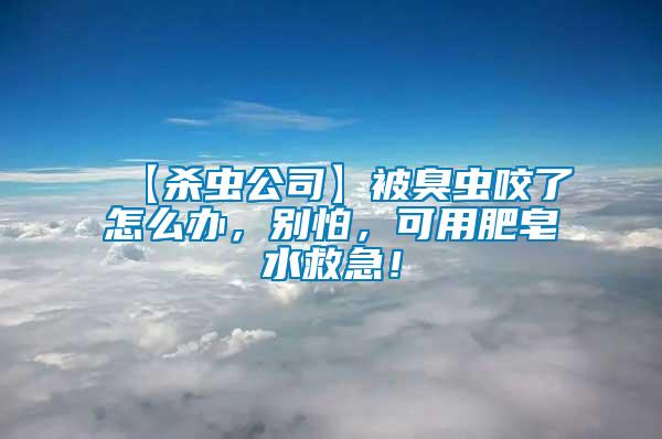 【殺蟲公司】被臭蟲咬了怎么辦，別怕，可用肥皂水救急！