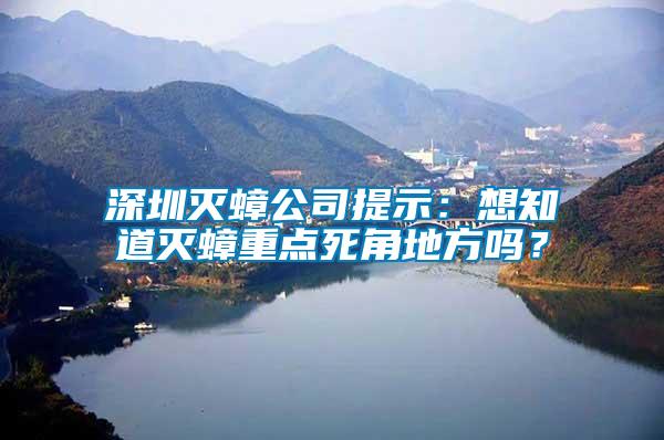 深圳滅蟑公司提示：想知道滅蟑重點(diǎn)死角地方嗎？