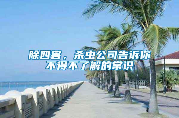 除四害，殺蟲公司告訴你不得不了解的常識