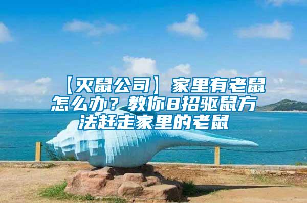 【滅鼠公司】家里有老鼠怎么辦？教你8招驅(qū)鼠方法趕走家里的老鼠