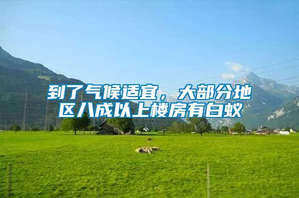 到了氣候適宜，大部分地區(qū)八成以上樓房有白蟻