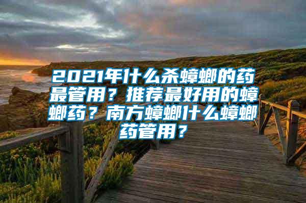 2021年什么殺蟑螂的藥最管用？推薦最好用的蟑螂藥？南方蟑螂什么蟑螂藥管用？