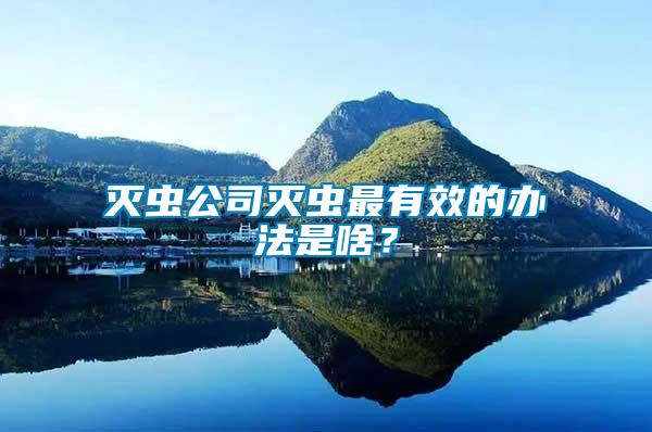 滅蟲公司滅蟲最有效的辦法是啥？