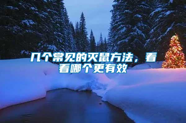 幾個(gè)常見的滅鼠方法，看看哪個(gè)更有效