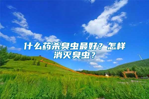 什么藥殺臭蟲最好？怎樣消滅臭蟲？