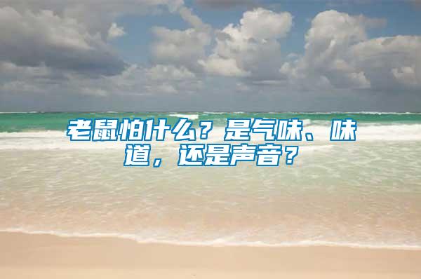 老鼠怕什么？是氣味、味道，還是聲音？