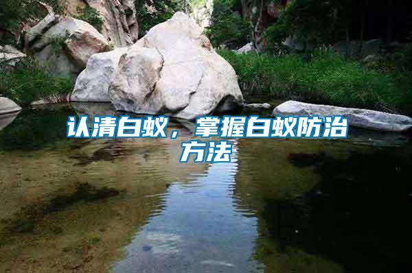 認(rèn)清白蟻，掌握白蟻防治方法