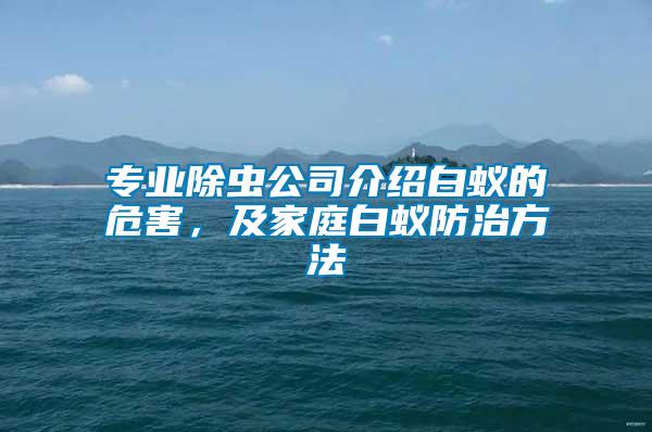 專業(yè)除蟲公司介紹白蟻的危害，及家庭白蟻防治方法
