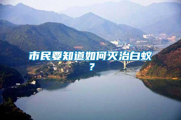 市民要知道如何滅治白蟻？