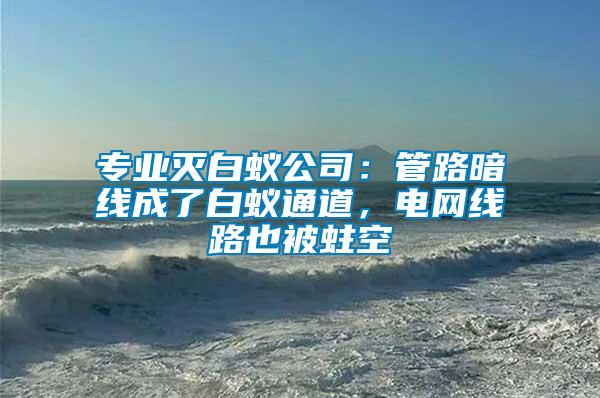 專業(yè)滅白蟻公司：管路暗線成了白蟻通道，電網(wǎng)線路也被蛀空
