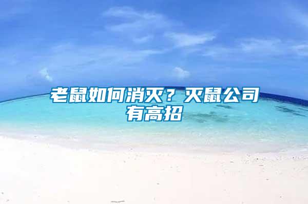 老鼠如何消滅？滅鼠公司有高招