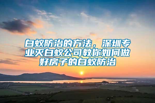 白蟻防治的方法，深圳專業(yè)滅白蟻公司教你如何做好房子的白蟻防治