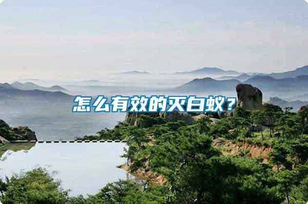 怎么有效的滅白蟻？