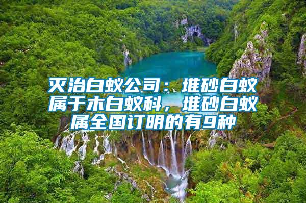 滅治白蟻公司：堆砂白蟻屬于木白蟻科，堆砂白蟻屬全國(guó)訂明的有9種