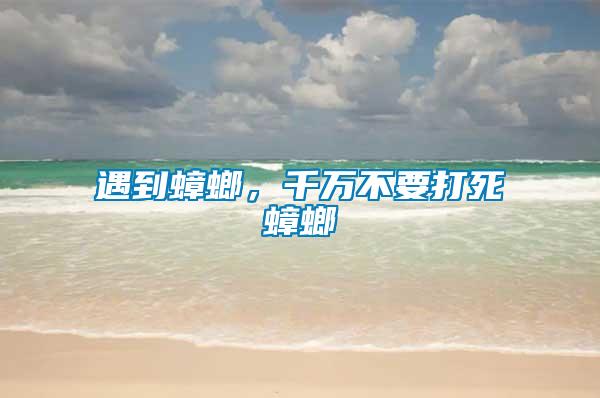 遇到蟑螂，千萬不要打死蟑螂