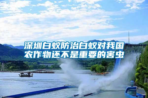 深圳白蟻防治白蟻對(duì)我國農(nóng)作物還不是重要的害蟲