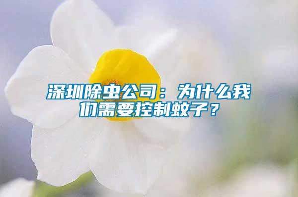 深圳除蟲(chóng)公司：為什么我們需要控制蚊子？