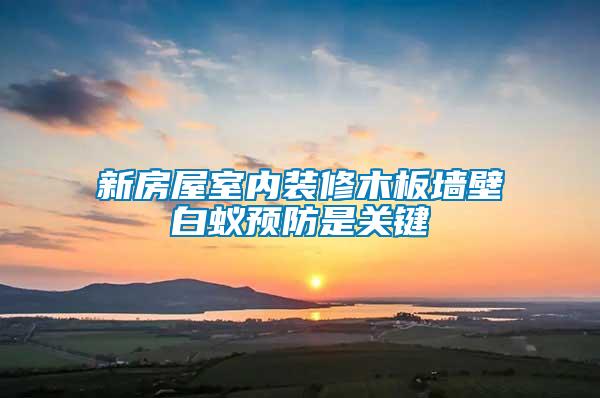 新房屋室內(nèi)裝修木板墻壁白蟻預防是關(guān)鍵