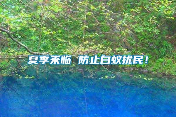 夏季來臨 防止白蟻擾民！