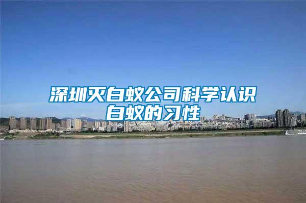 深圳滅白蟻公司科學(xué)認識白蟻的習(xí)性