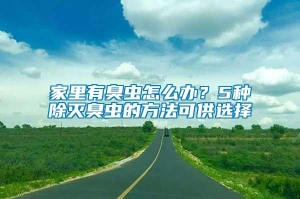 家里有臭蟲怎么辦？5種除滅臭蟲的方法可供選擇