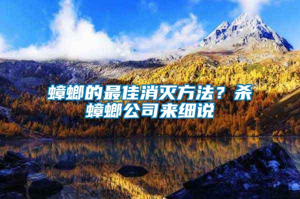 蟑螂的最佳消滅方法？殺蟑螂公司來細(xì)說