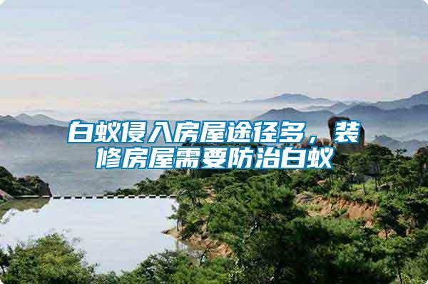 白蟻侵入房屋途徑多，裝修房屋需要防治白蟻