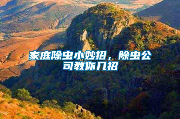 家庭除蟲小妙招，除蟲公司教你幾招