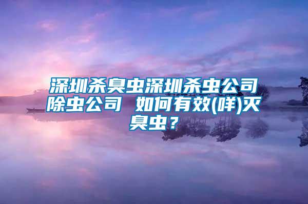 深圳殺臭蟲深圳殺蟲公司除蟲公司 如何有效(咩)滅臭蟲？