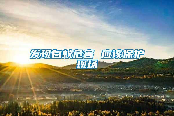 發(fā)現(xiàn)白蟻危害 應(yīng)該保護(hù)現(xiàn)場
