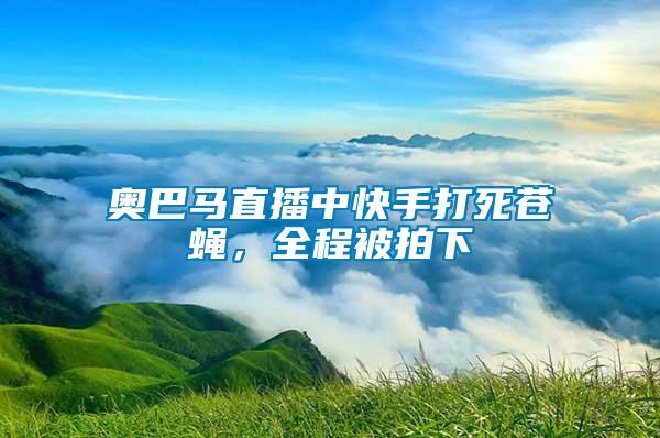 奧巴馬直播中快手打死蒼蠅，全程被拍下