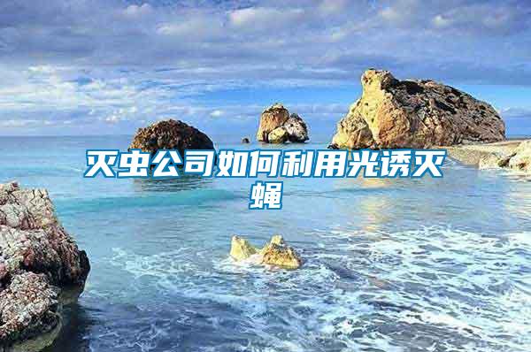 滅蟲(chóng)公司如何利用光誘滅蠅