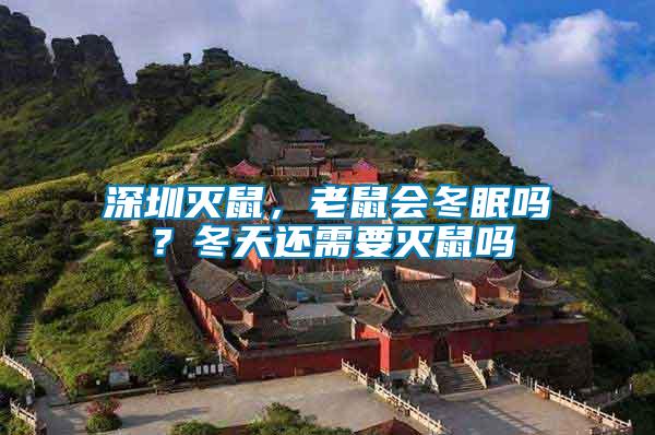 深圳滅鼠，老鼠會(huì)冬眠嗎？冬天還需要滅鼠嗎