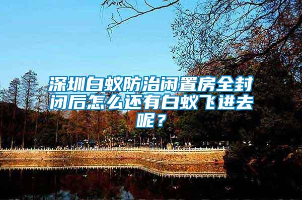 深圳白蟻防治閑置房全封閉后怎么還有白蟻飛進去呢？