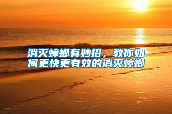 消滅蟑螂有妙招，教你如何更快更有效的消滅蟑螂