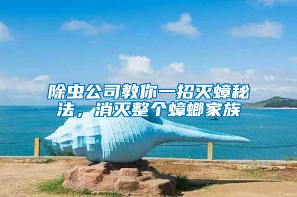 除蟲(chóng)公司教你一招滅蟑秘法，消滅整個(gè)蟑螂家族