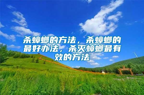 殺蟑螂的方法，殺蟑螂的最好辦法，殺滅蟑螂最有效的方法