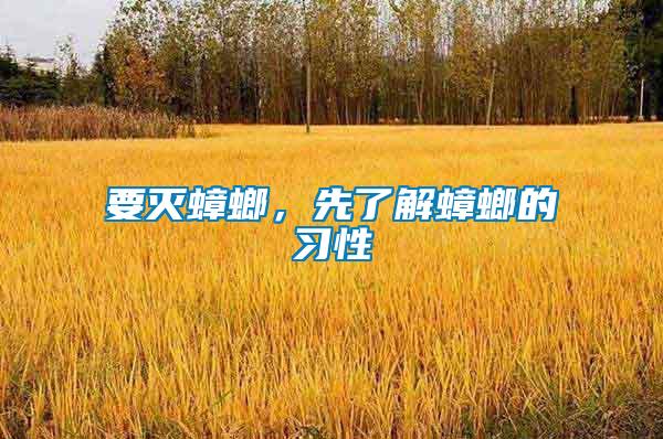 要滅蟑螂，先了解蟑螂的習(xí)性