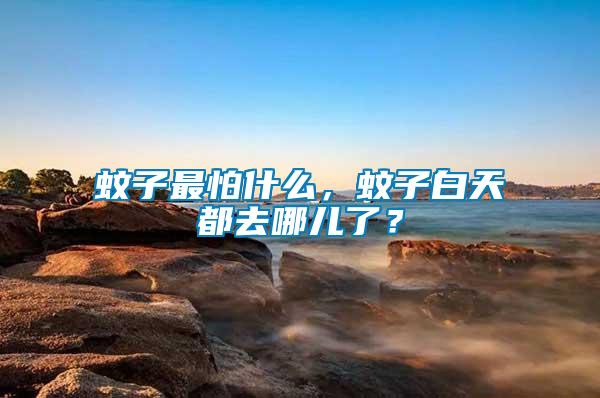 蚊子最怕什么，蚊子白天都去哪兒了？