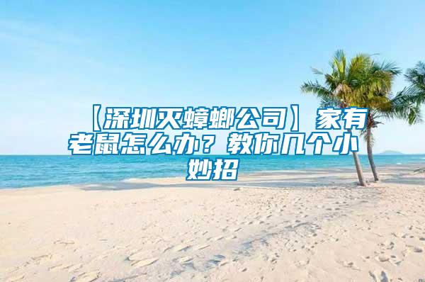 【深圳滅蟑螂公司】家有老鼠怎么辦？教你幾個(gè)小妙招