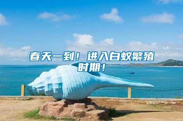 春天一到！進(jìn)入白蟻繁殖時期！
