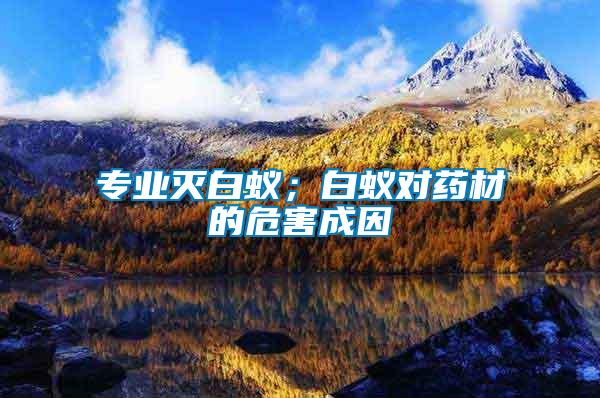 專業(yè)滅白蟻；白蟻對藥材的危害成因