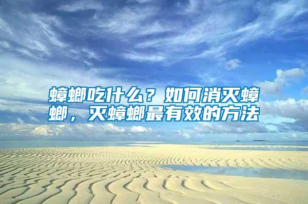 蟑螂吃什么？如何消滅蟑螂，滅蟑螂最有效的方法