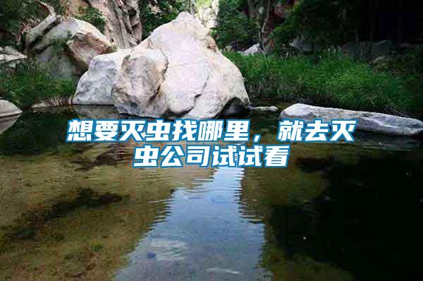 想要滅蟲找哪里，就去滅蟲公司試試看