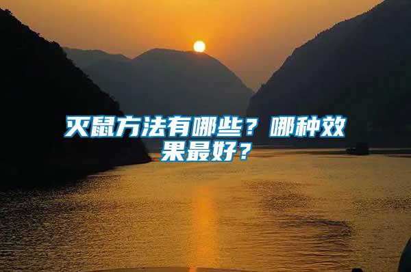 滅鼠方法有哪些？哪種效果最好？
